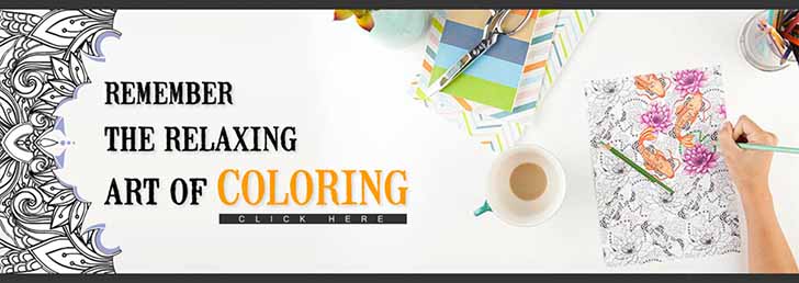 Adult Coloring Book - BIG