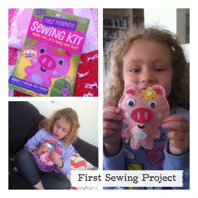 8024953338_c76cbf1100_b sewing pig project