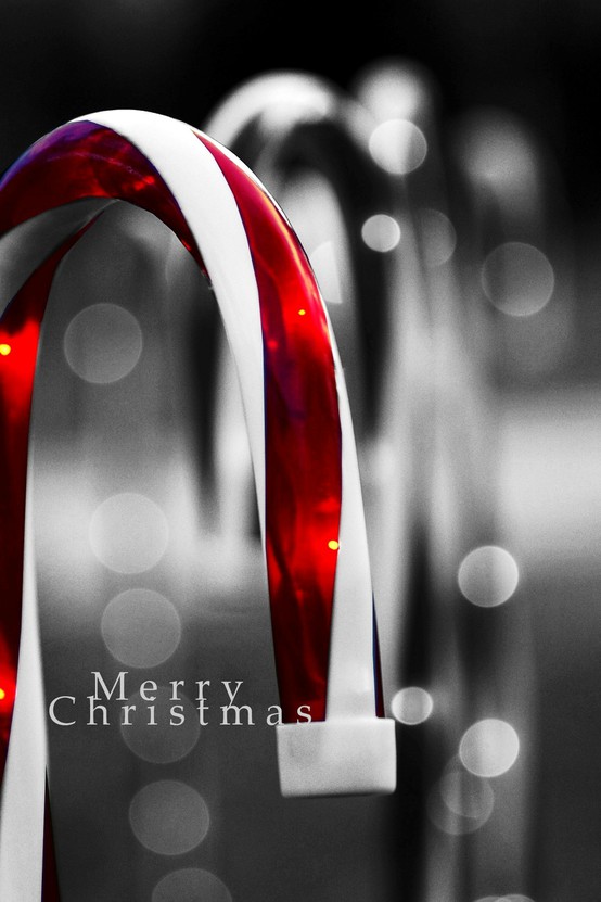 merry