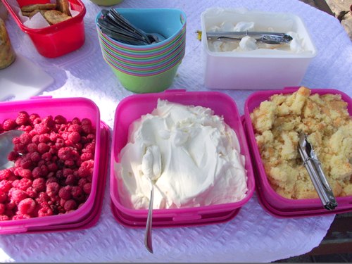 EM - Picnic Prep