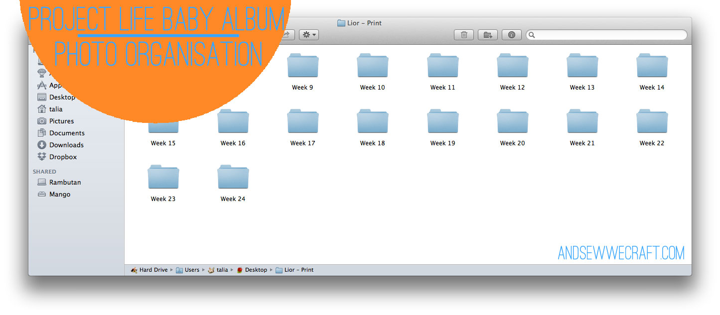 PLBA-2organisation