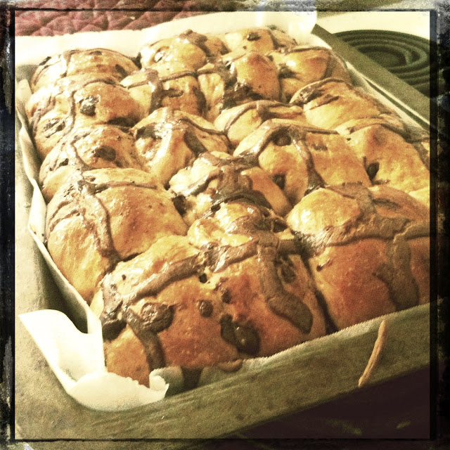 hot cross bun